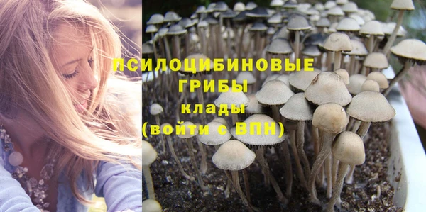 мдпв Нягань