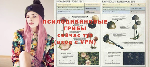 прущий лед Няндома