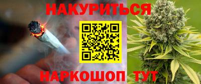 гидропоника Гусев