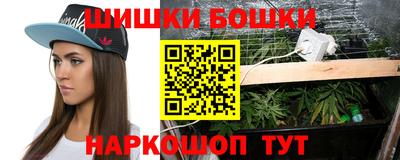 индика Гусиноозёрск