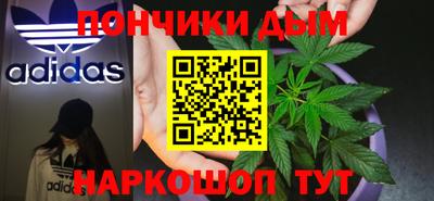 индика Гусиноозёрск
