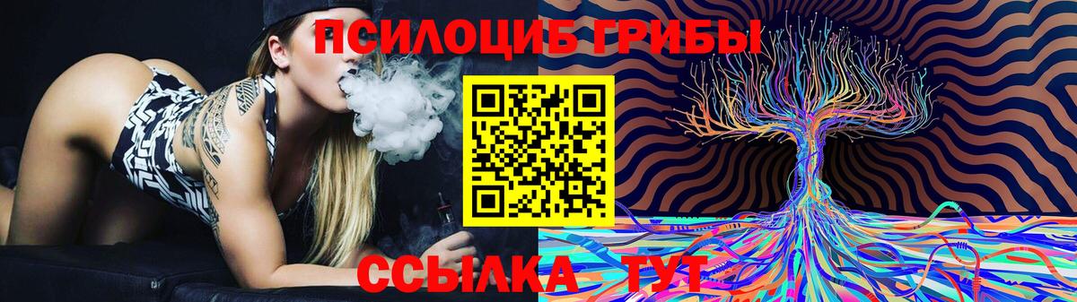 Псилоцибиновые грибы мицелий Кстово