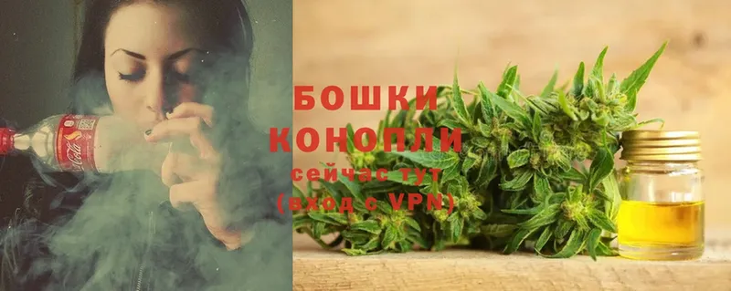 закладки  дарк нет наркотические препараты  Бошки Шишки White Widow  Кстово 